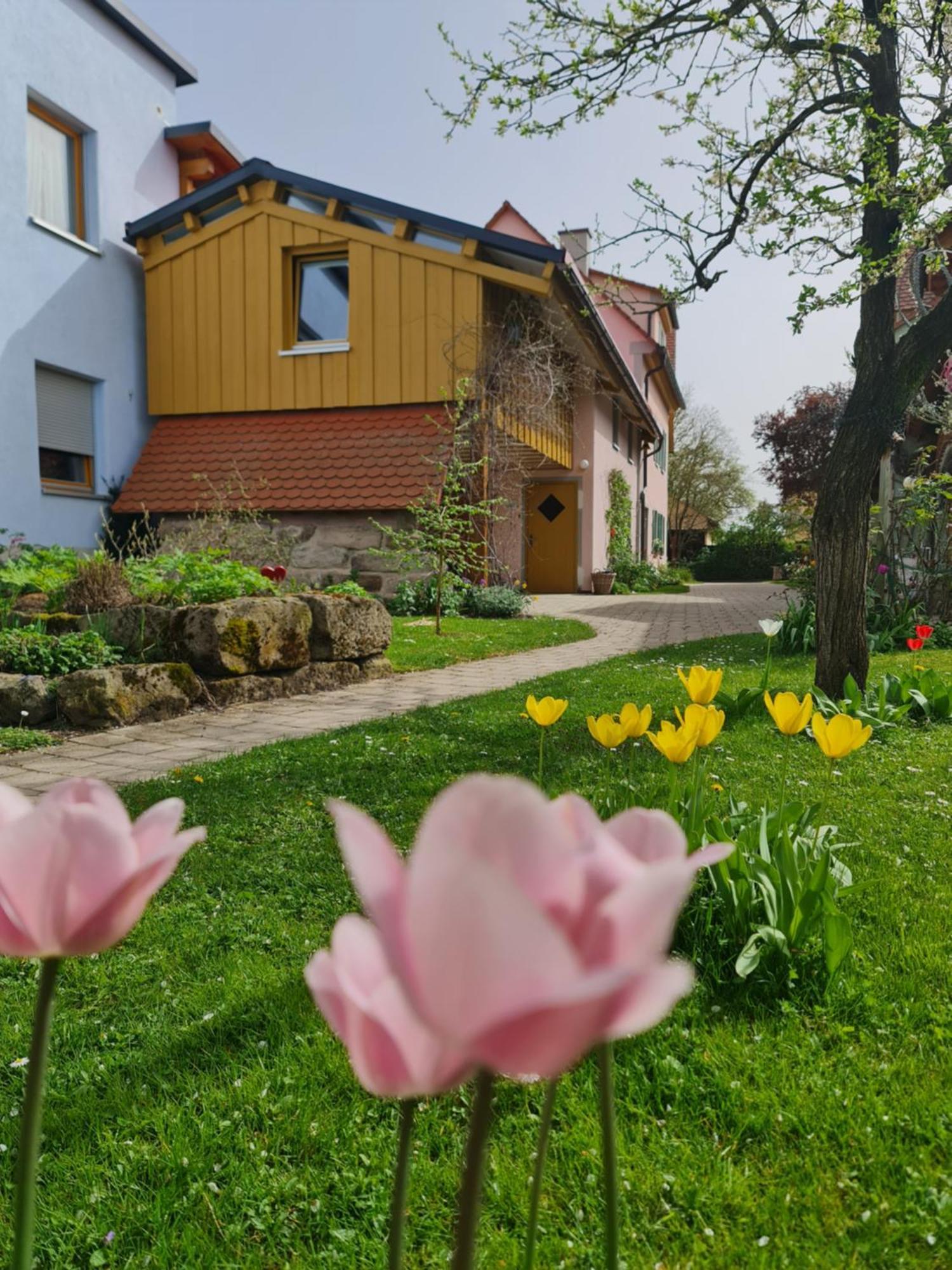 Ferienwohnung Wiesenhof Neuhof an der Zenn Εξωτερικό φωτογραφία